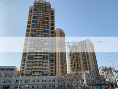 金堂保障性住房-成都eps線條案例